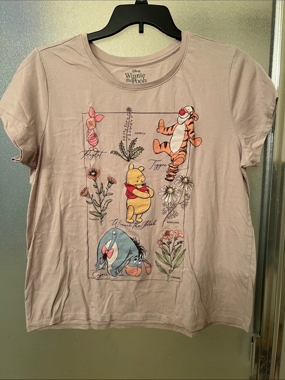 Disney Winnie the Pooh Floral Character Tee - Light Brown